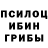 Галлюциногенные грибы Cubensis Hackers KILLER