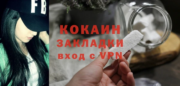 хмурый Абаза