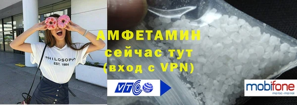 хмурый Абаза