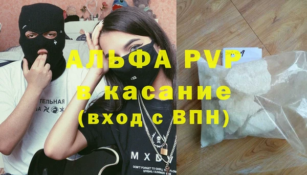 хмурый Абаза