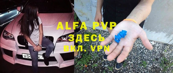 хмурый Абаза