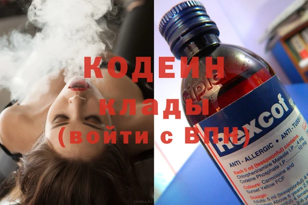 хмурый Абаза
