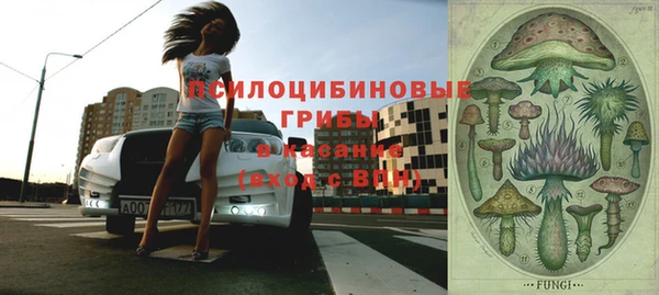 хмурый Абаза