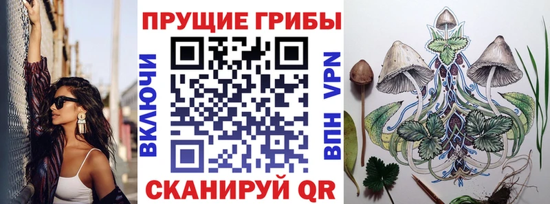 Галлюциногенные грибы мухоморы  что такое   маркетплейс официальный сайт  Элиста 